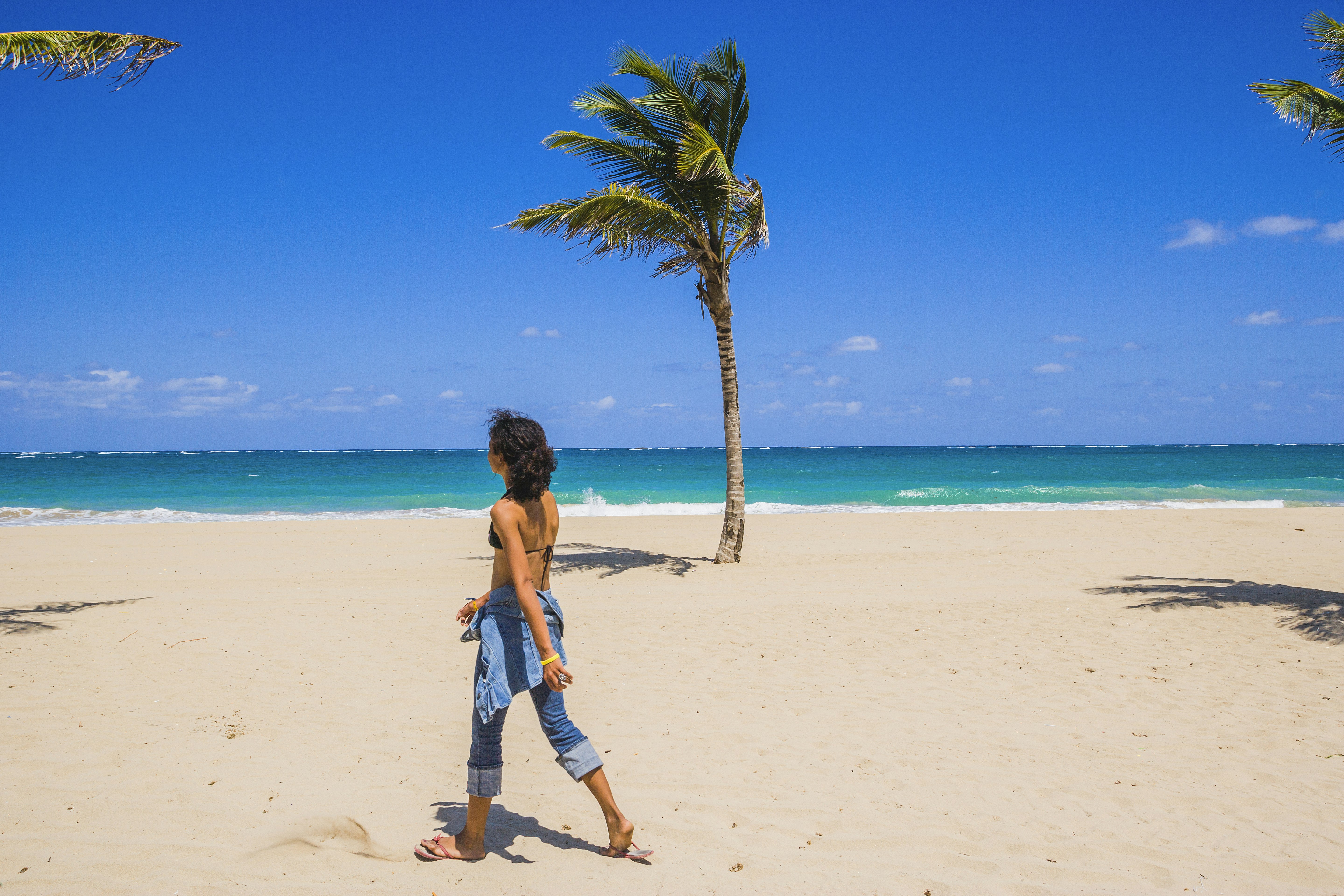 A woman walks past a palm tree on a beach in San Juan, Puerto Rico on a bright sunny day